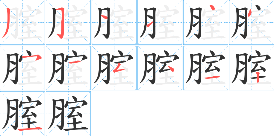 腟的笔顺分步演示